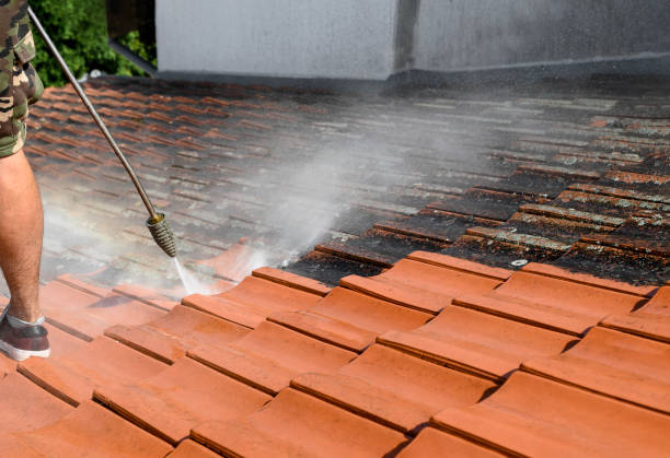 Best Best Pressure Washing Companies  in Fox Chase, PA