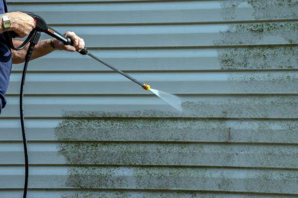 Professional Pressure Washing in Fox Chase, PA