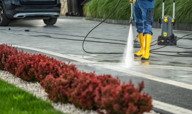 Best Commercial Building Pressure Washing  in Fox Chase, PA