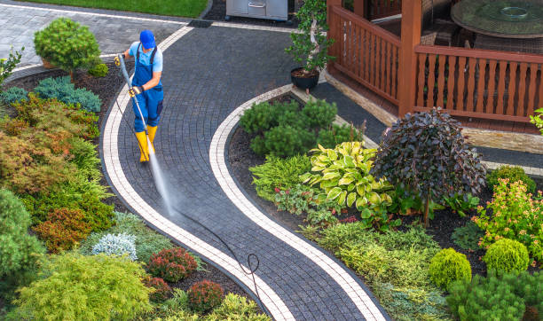 Best Roof Pressure Washing  in Fox Chase, PA
